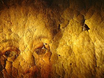 Peinture en danger: craquelures accompagnées de pertes de matière et vernis oxydé (détail)