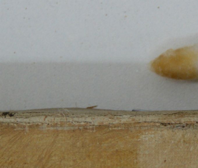 Test d'allègement de vernis (détail) 
Le vernis de cette peinture s'est oxydé. Un allègement de vernis est donc nécessaire pour retrouver les teintes originales du tableau. 